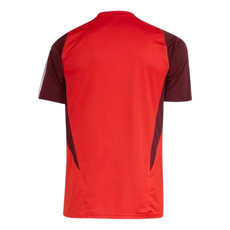 Internacional 24/25 Training Jersey - Adidas